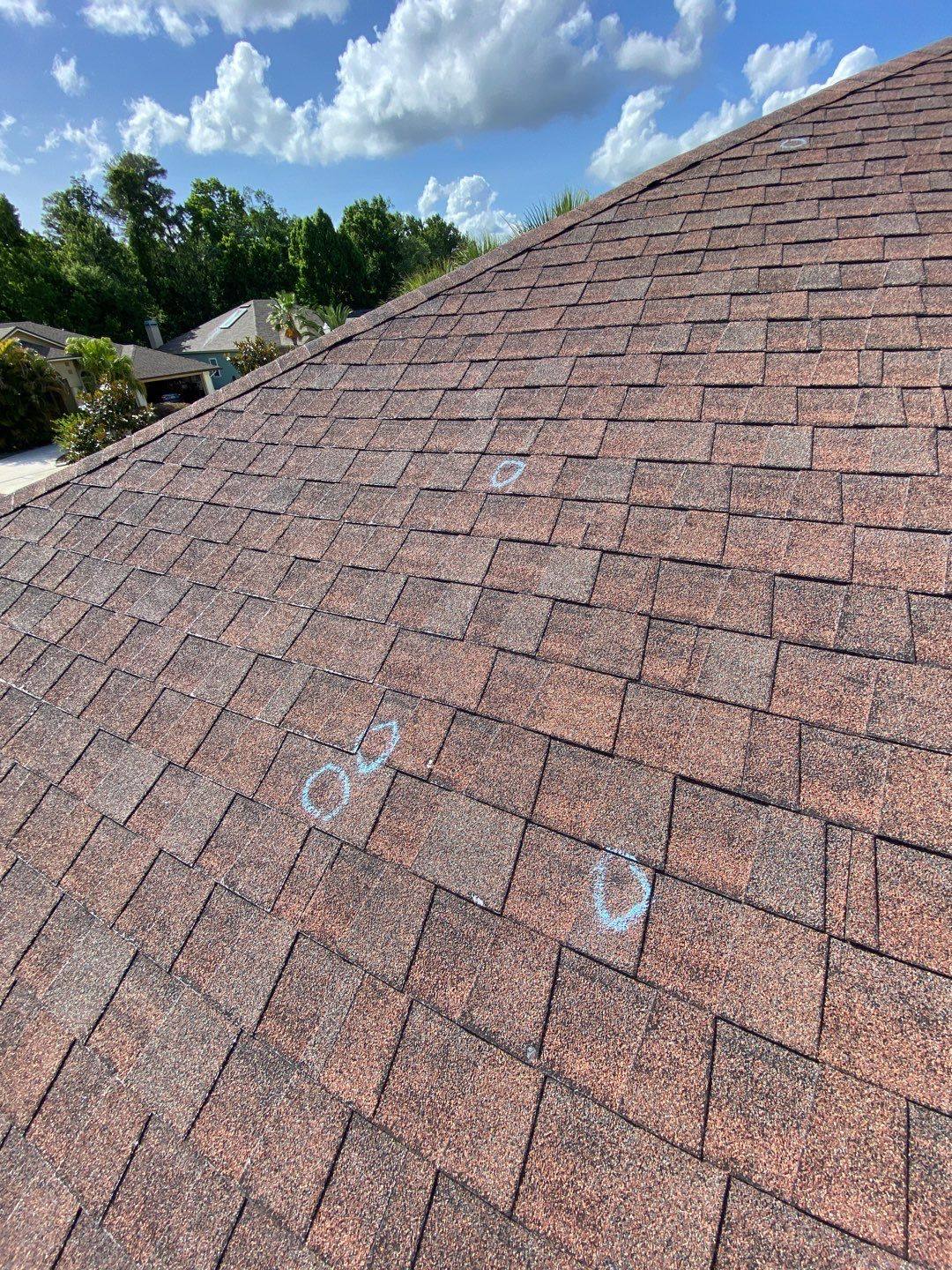 Chalk-circled hail impact marks on a shingle roof during a Central Florida inspection