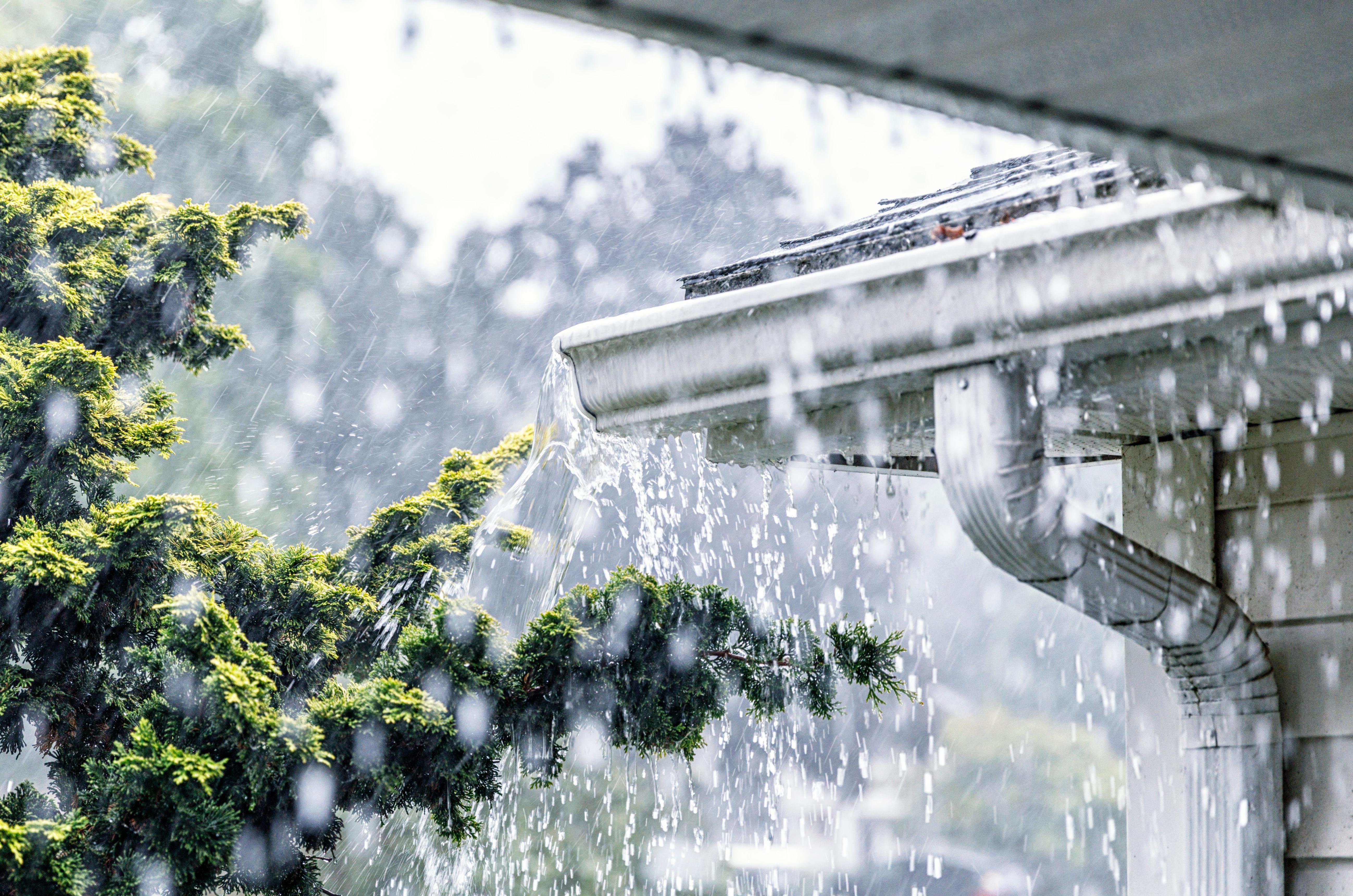 gutters in the rain.jpeg